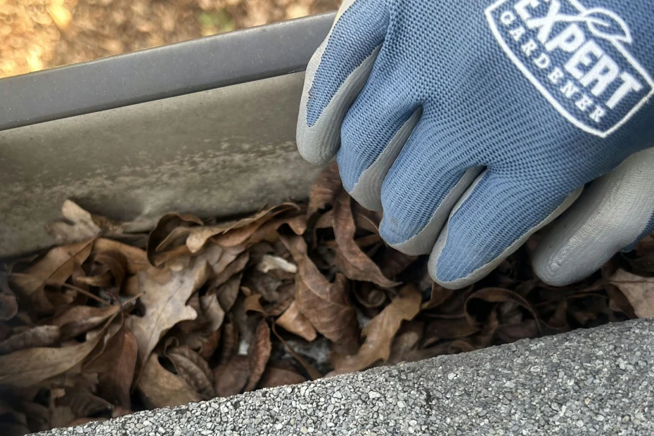 Gutter Cleaning Destrehan