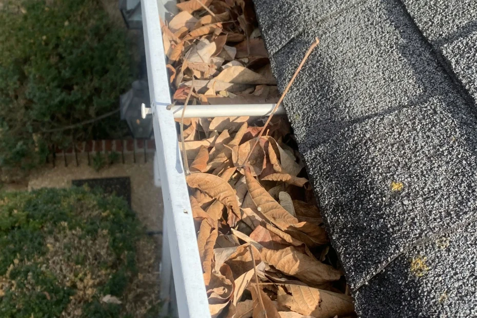 Gutter Cleaning Destrehan